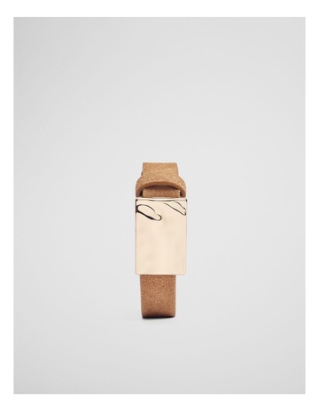 Camel colour