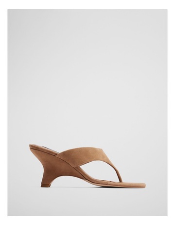 Camel colour