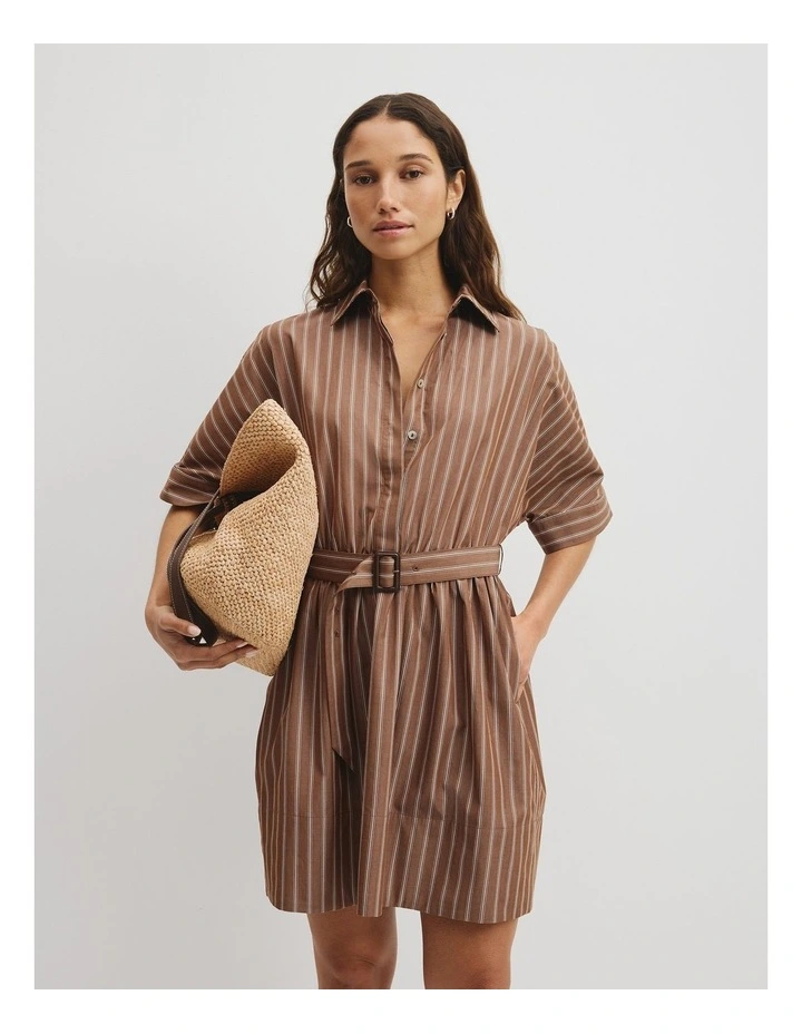 Belted Mini Shirt Dress in Mocha Stripe image 1