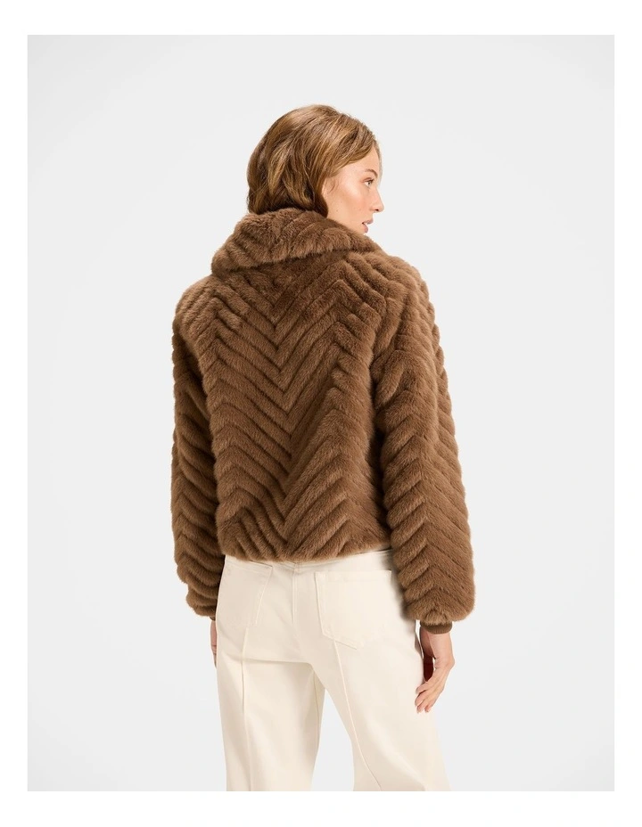 Susannah Jacket in Brown image 2