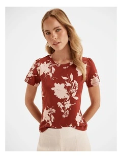 Vespa Cotton Top