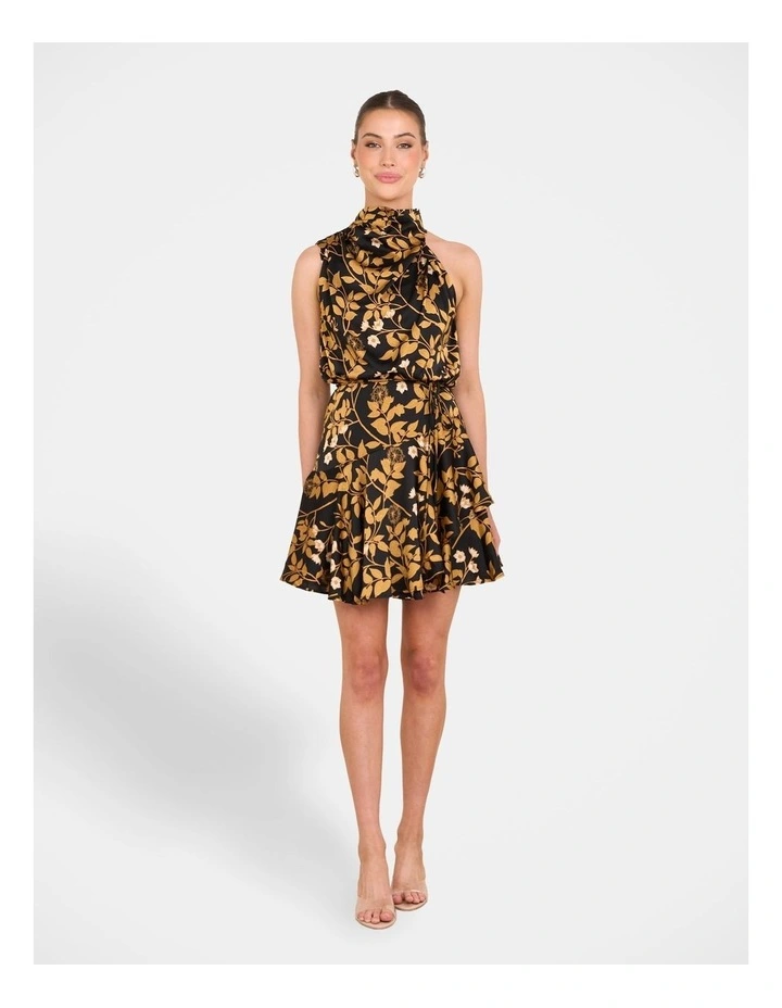 Raleigh Frill Hem Mini Dress in Multi image 5