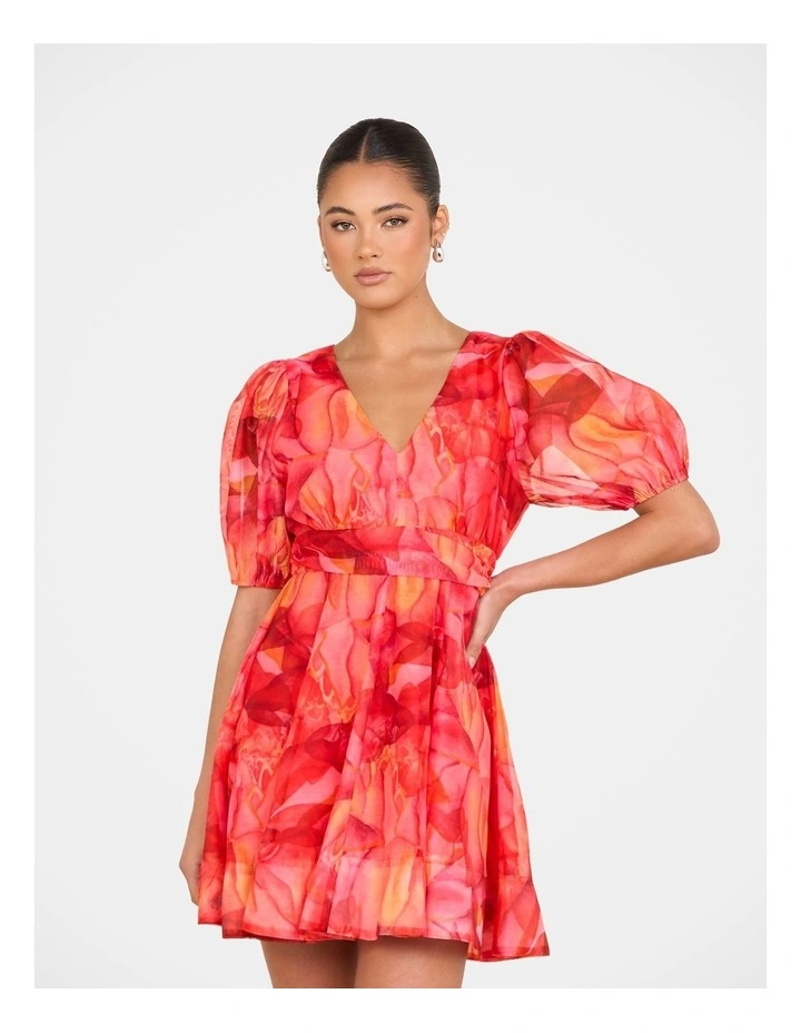 Cammi Puff Sleeve Mini Dress image 4