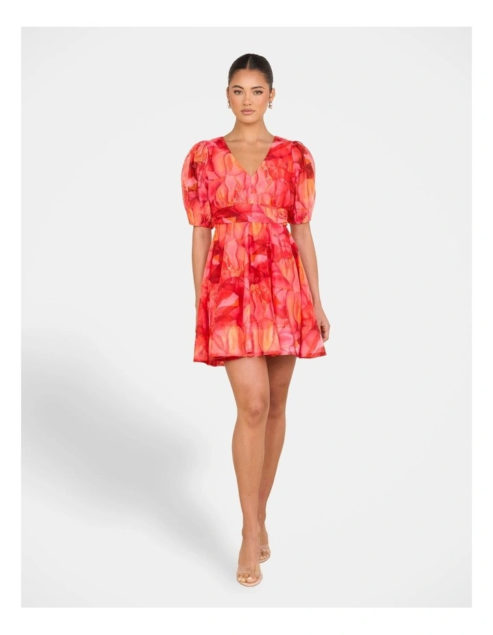 Cammi Puff Sleeve Mini Dress image 5