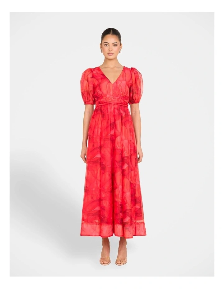 Dua Puff Sleeve Maxi Dress in Print image 1