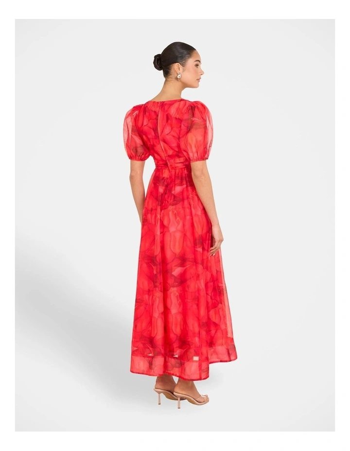 Dua Puff Sleeve Maxi Dress in Print image 2