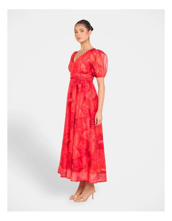 Dua Puff Sleeve Maxi Dress in Print image 3
