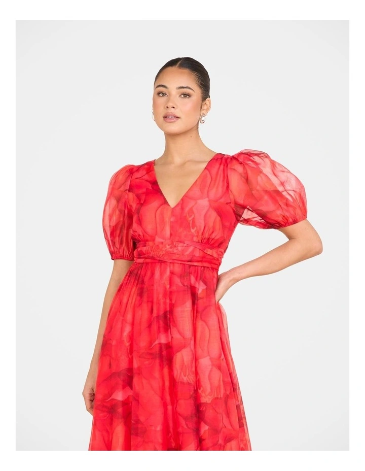 Dua Puff Sleeve Maxi Dress in Print image 4