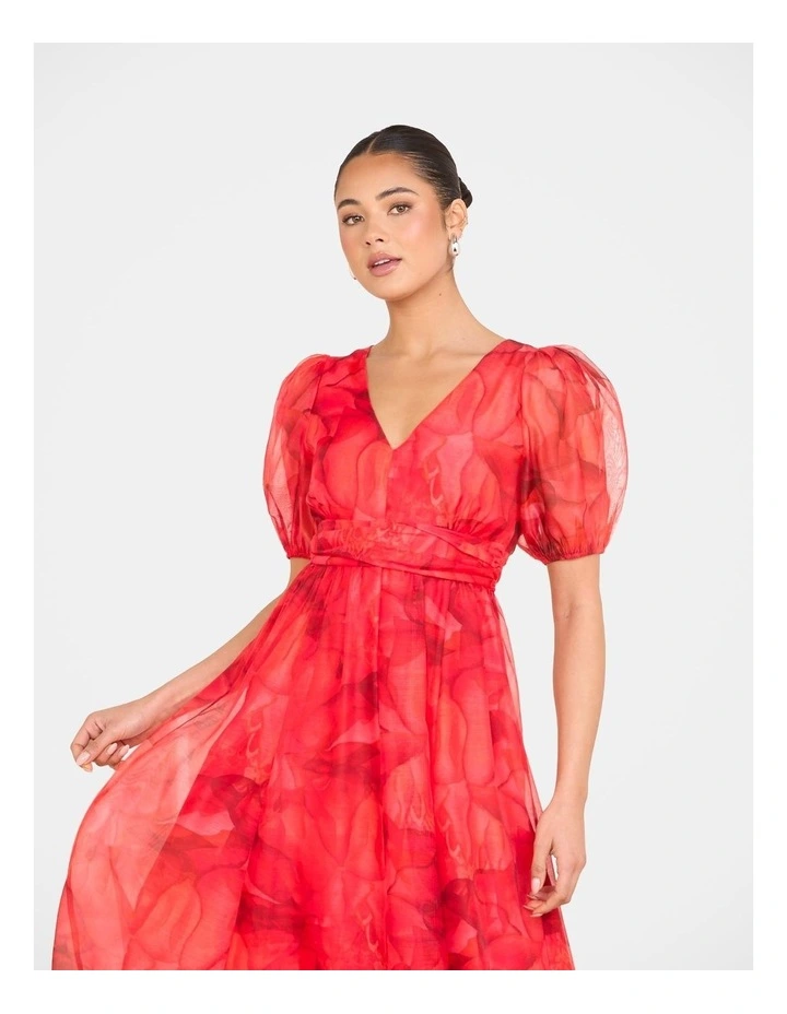 Dua Puff Sleeve Maxi Dress in Print image 5