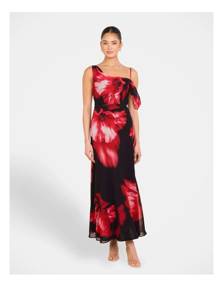 Oscar Cowl Neck Maxi Dress in Multi image 1