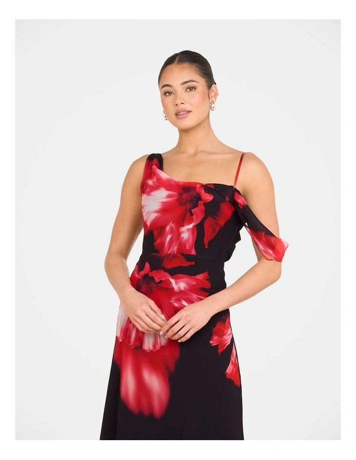 Oscar Cowl Neck Maxi Dress in Multi image 4
