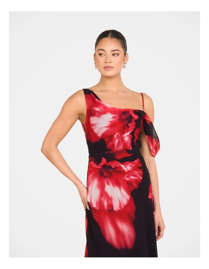 Oscar Cowl Neck Maxi Dress in Multi image 5
