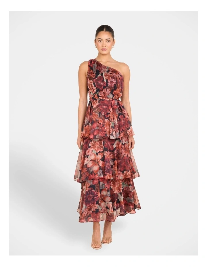 Burma One Shoulder Maxi Dress in Multi image 1