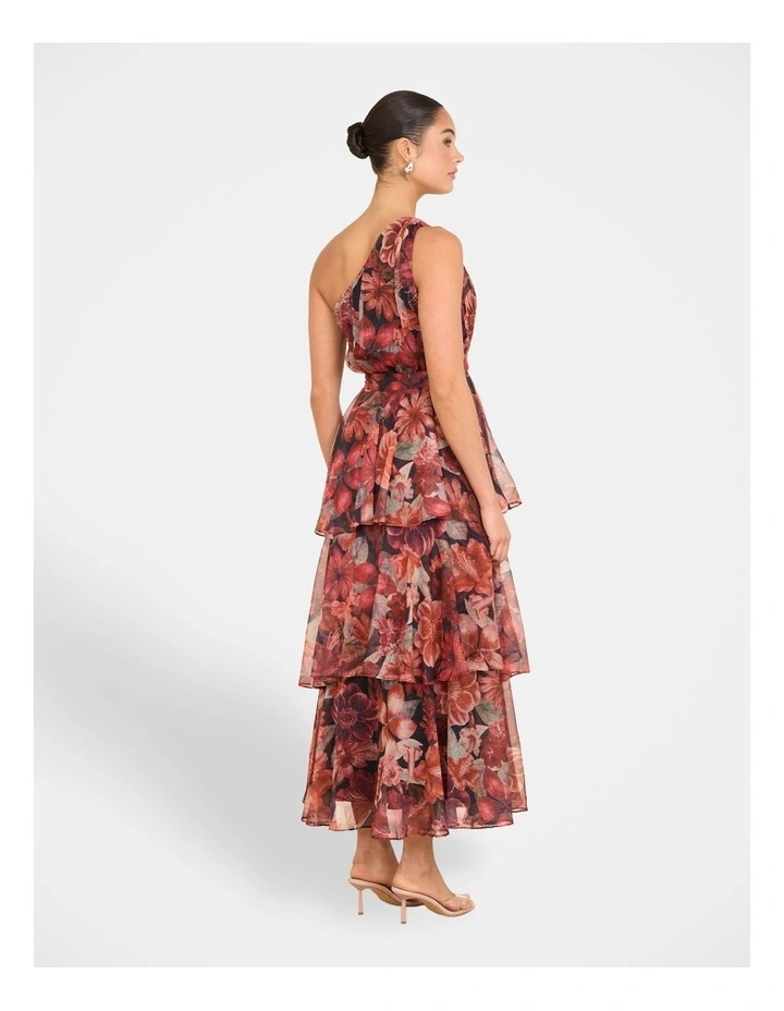 Burma One Shoulder Maxi Dress in Multi image 2