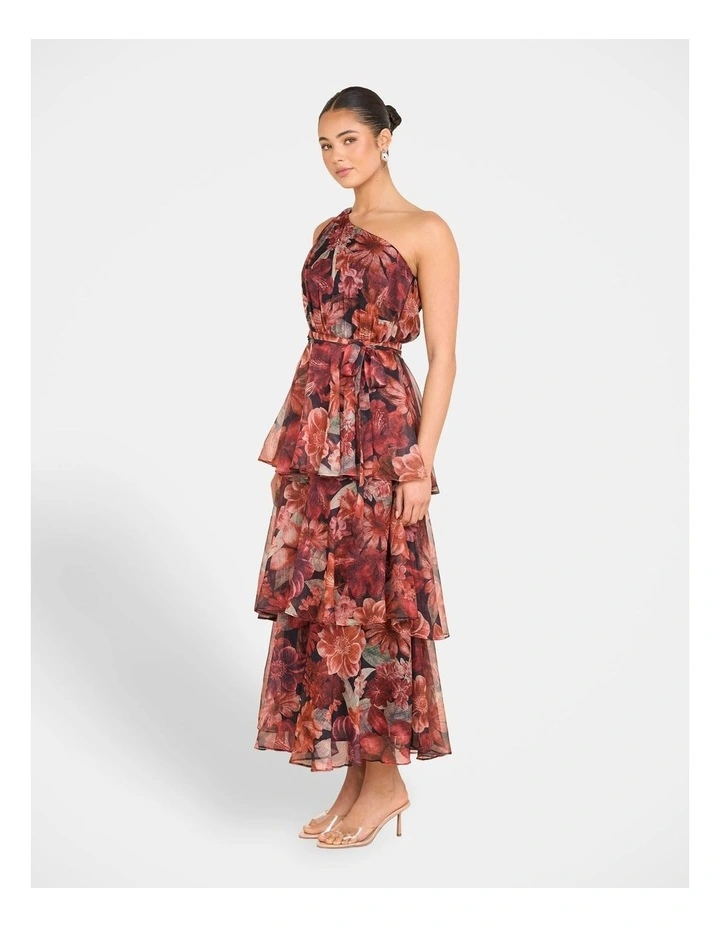 Burma One Shoulder Maxi Dress in Multi image 3