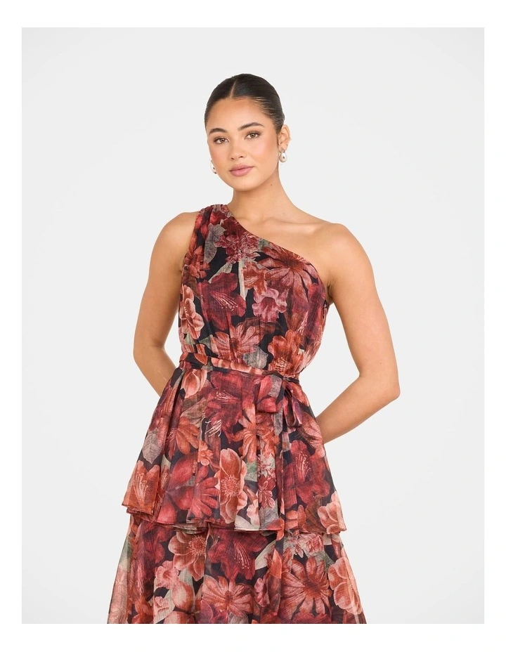 Burma One Shoulder Maxi Dress in Multi image 5