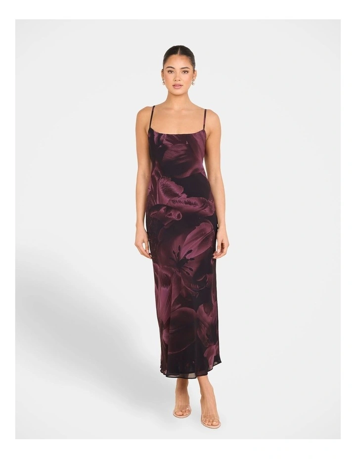 Lulu Slip Maxi Dress in Multi image 1