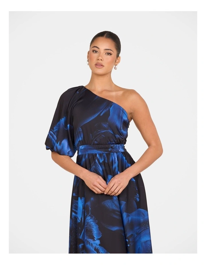 Umi One Shoulder Maxi Dress image 5