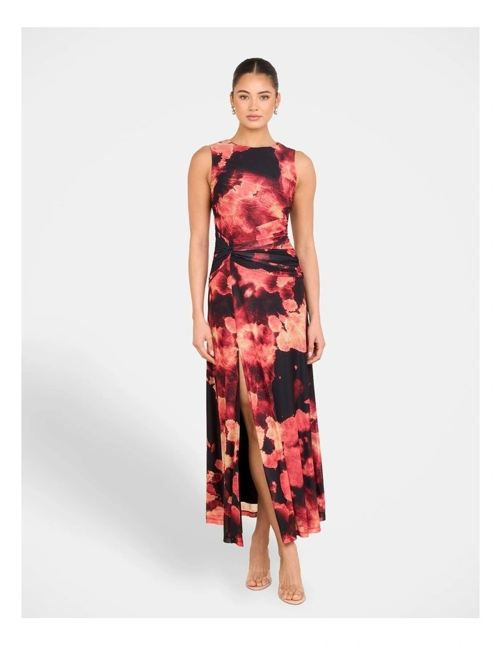 Eden Printed Mesh Maxi Dress in Multi image 1