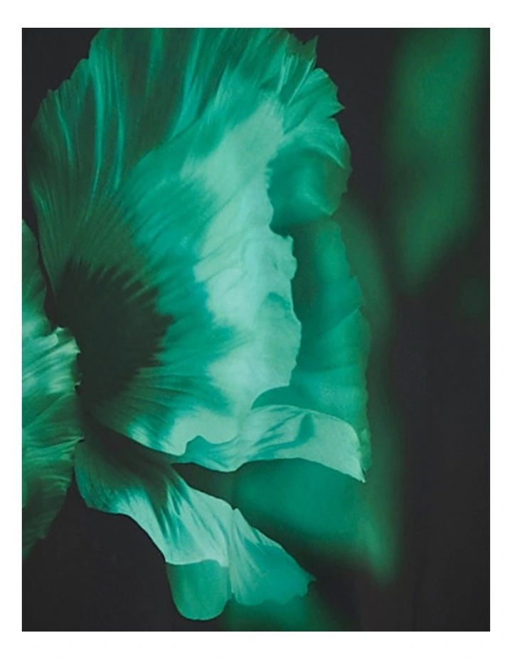 Oakley Cowl Neck Maxi Dress in Green image 6