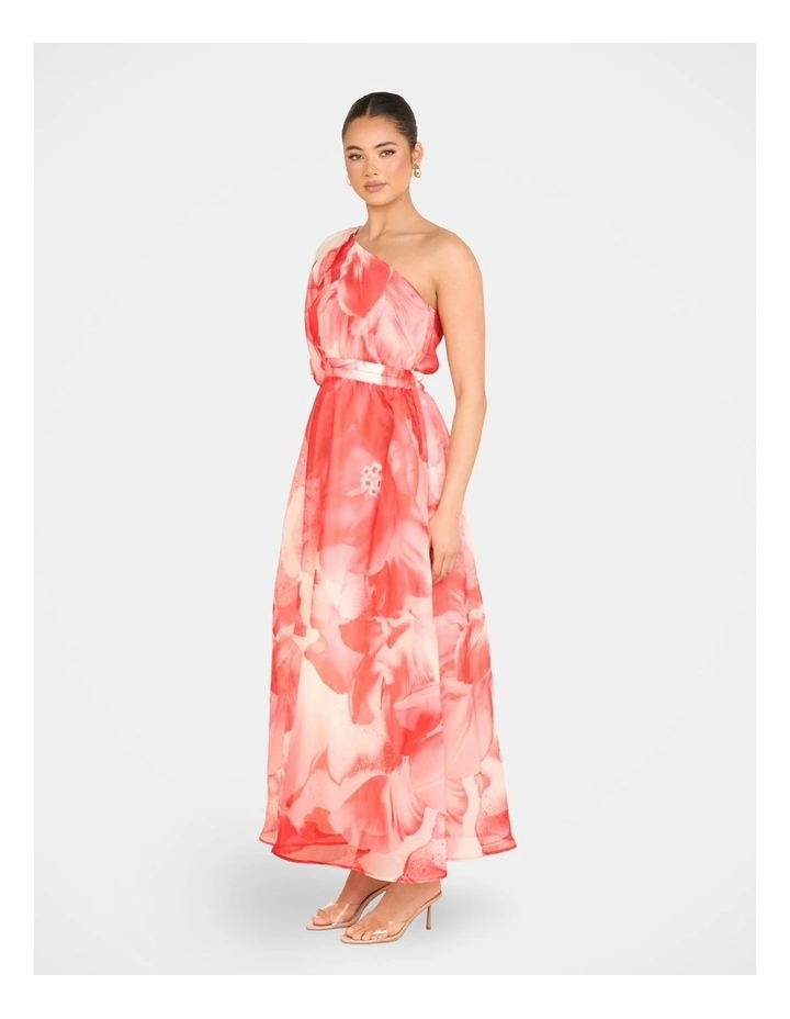 Quartz One Shoulder Maxi Dress in Red image 3