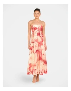 Arla Strapless Maxi Dress in Multiass