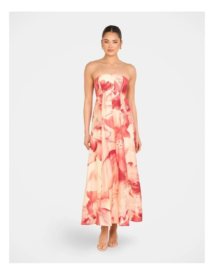 Arla Strapless Maxi Dress in Multiass image 1