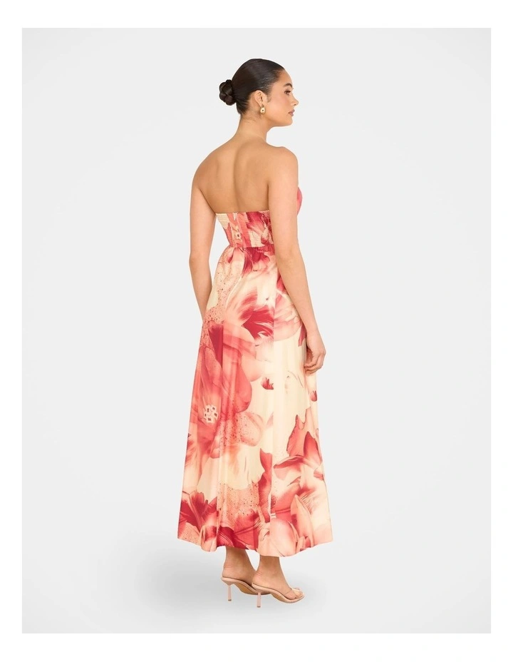 Arla Strapless Maxi Dress in Multiass image 2