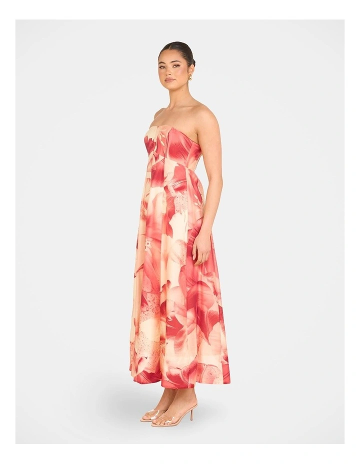 Arla Strapless Maxi Dress in Multiass image 3