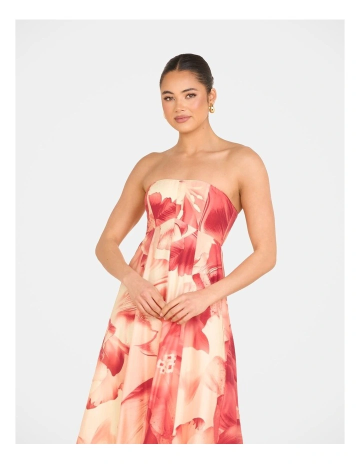 Arla Strapless Maxi Dress in Multiass image 4