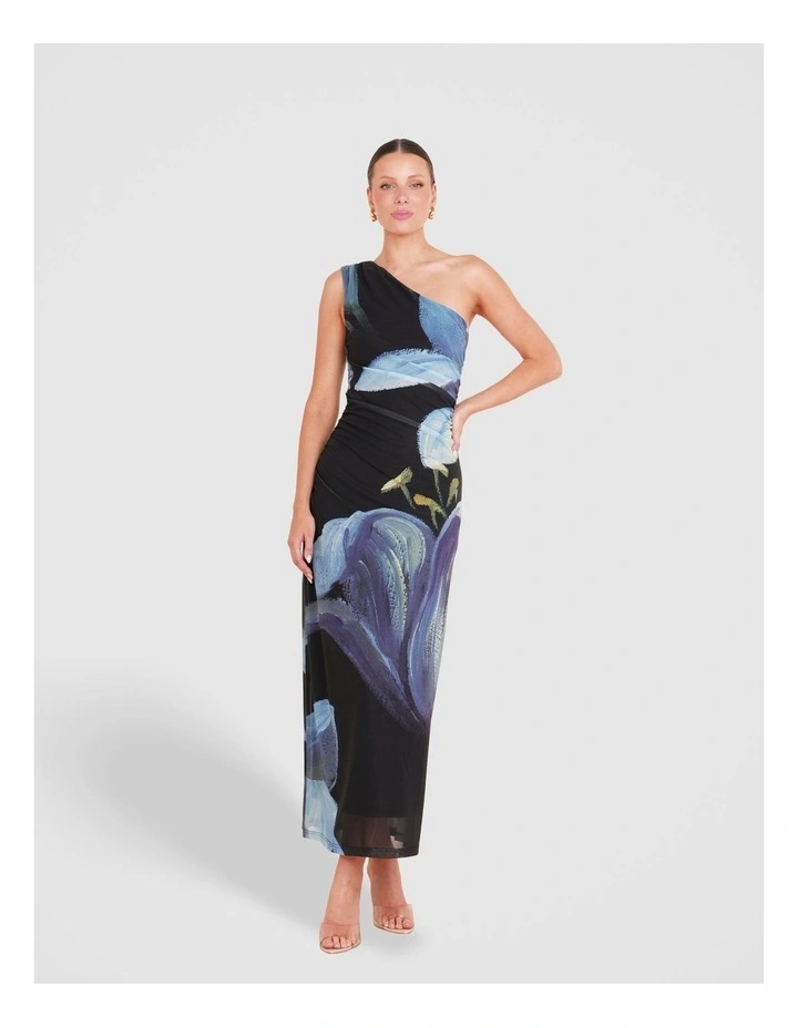 Paris Printed Mesh Maxi Dress in Multi image 1
