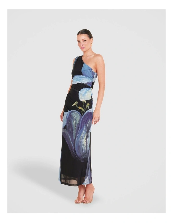 Paris Printed Mesh Maxi Dress in Multi image 3