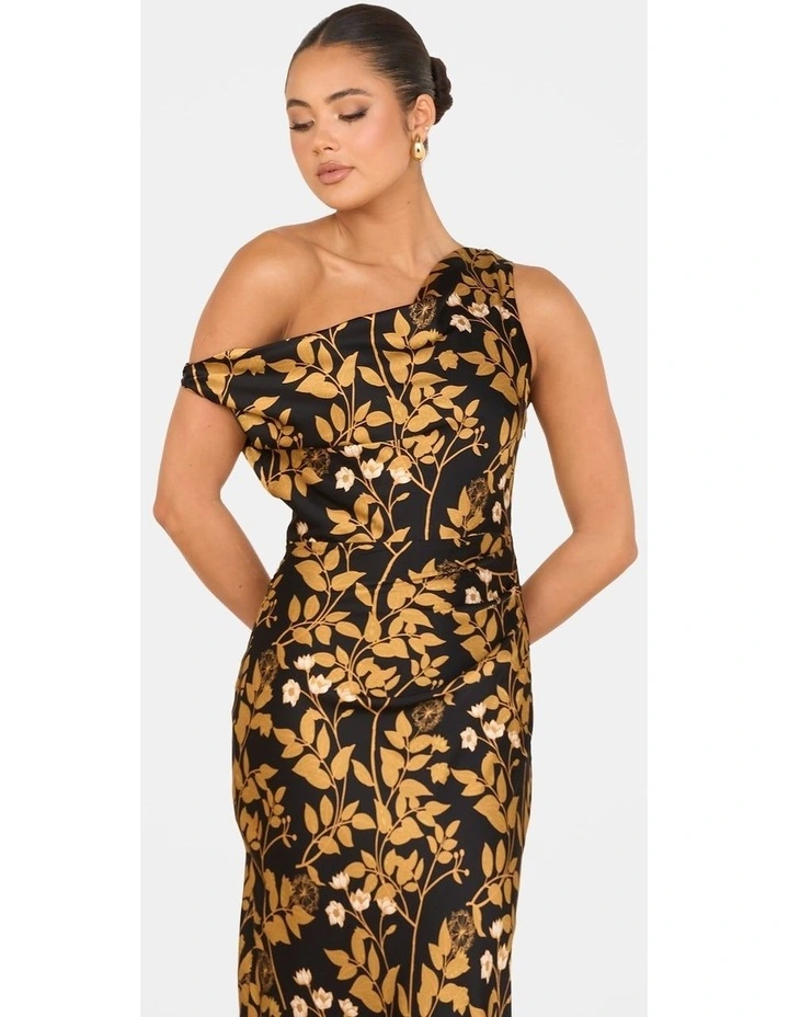 Veria One Shoulder Maxi Dress in Multi image 5