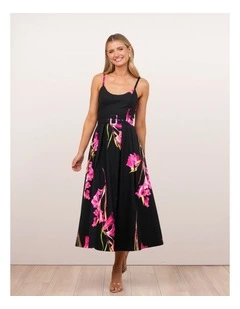 Novalie Print Midi Dress