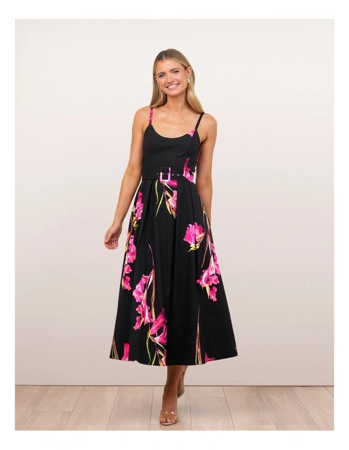 Novalie Print Midi Dress image 1
