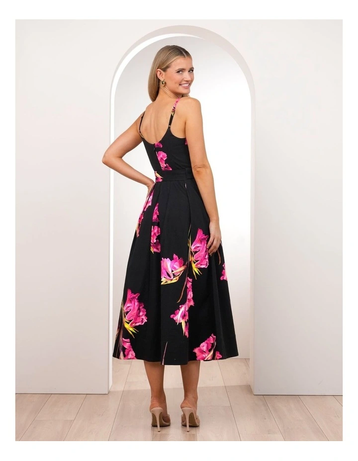 Novalie Print Midi Dress image 2