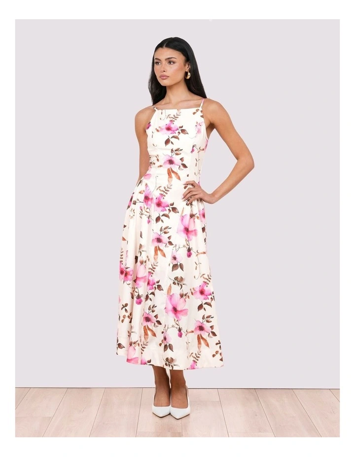 Zabelle Sleeveless Maxi Dress image 1