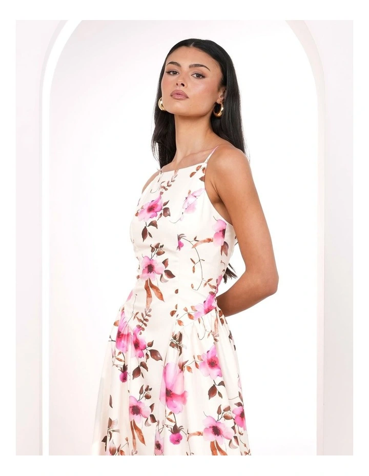 Zabelle Sleeveless Maxi Dress image 5
