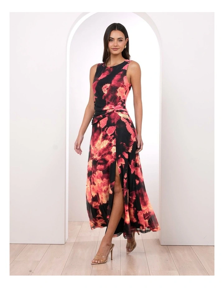 Edison Printed Mesh Maxi Dress image 3