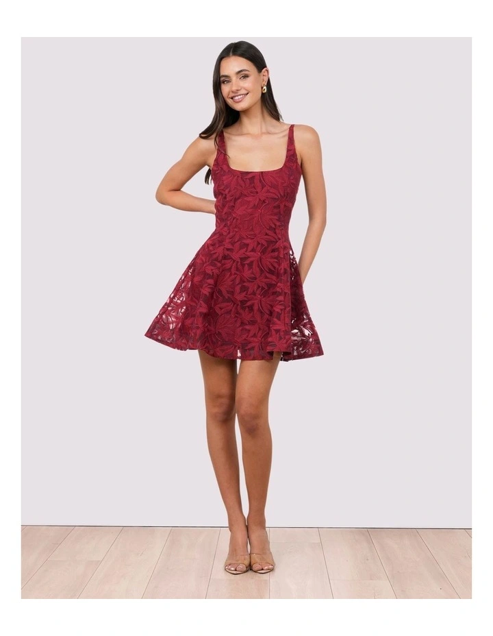 Vaeda Lace Mini Dress image 1