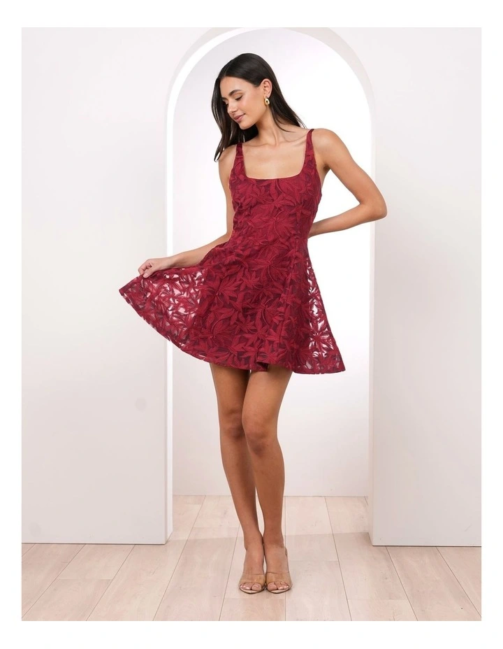 Vaeda Lace Mini Dress image 5