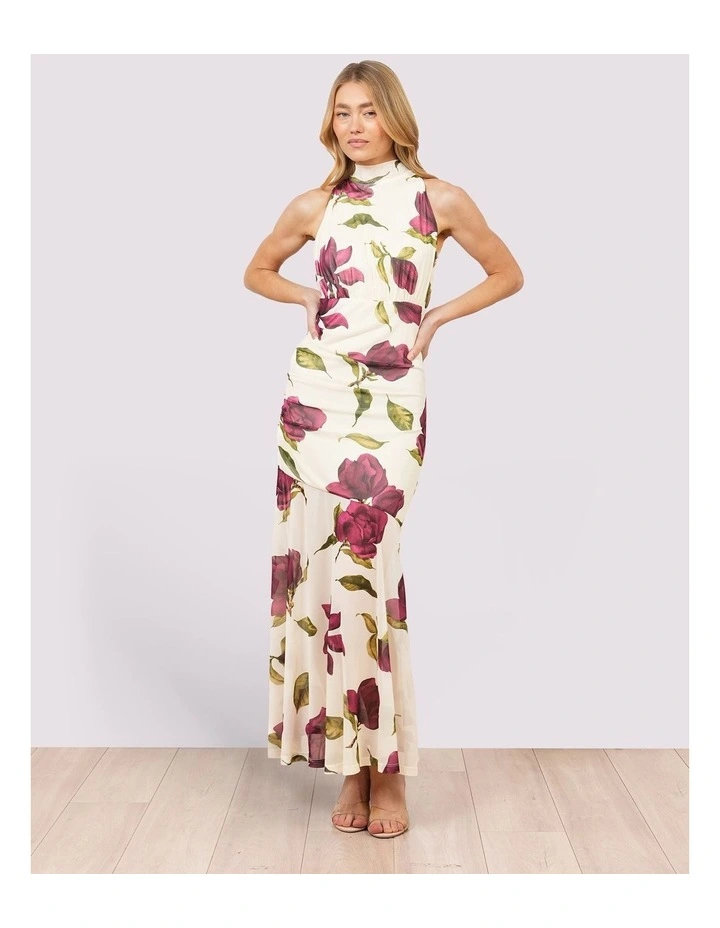 Florence Tie Neck Mesh Maxi image 1