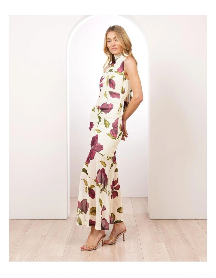 Florence Tie Neck Mesh Maxi image 3