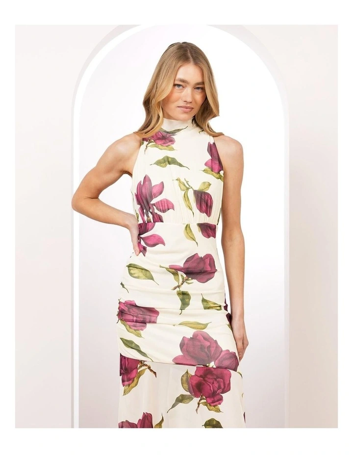 Florence Tie Neck Mesh Maxi image 5