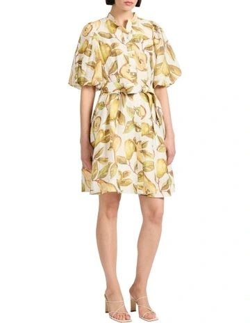 Pear Suasion Dress in White