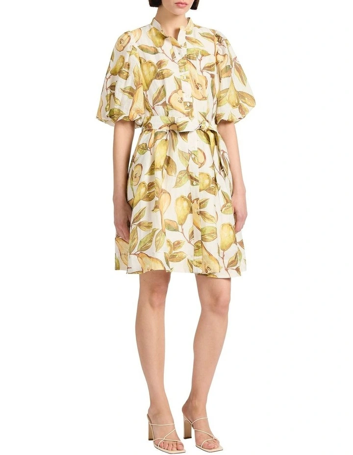 Pear Suasion Dress in White image 1
