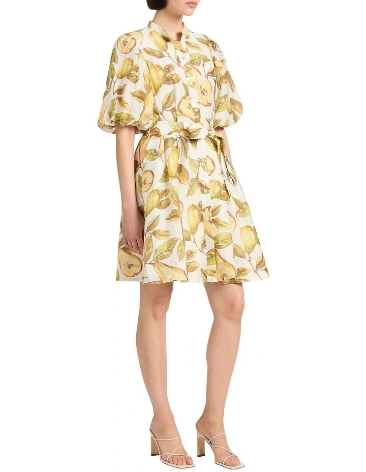 Pear Suasion Dress in White image 2