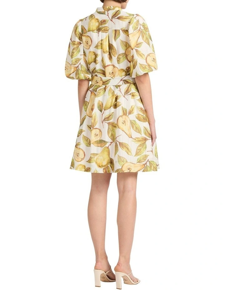 Pear Suasion Dress in White image 4
