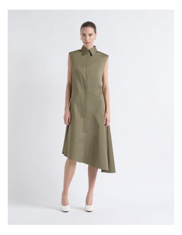 Olive colour