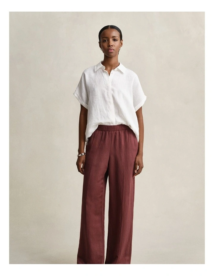 Linen Blend Pants in Fresh Soil image 4